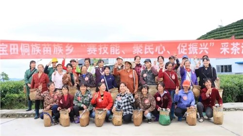 會同寶田侗族苗族鄉(xiāng)在集團(tuán)瀟湘茶業(yè)會同寶田有機(jī)茶基地開展采茶培訓(xùn)