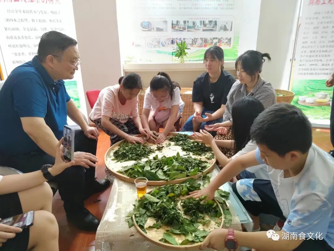 原載人民日報(bào)“人民視點(diǎn)”茶葉是怎樣做出來的？湖南大、中、小學(xué)生體驗(yàn)湖南工夫紅茶制作